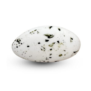 Suikerbonen - Papa Chocolat - Suikerboon Jade/eucalyptus marmer mat