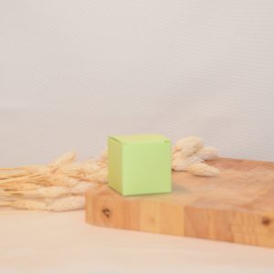 Kubusje of kubus doosje: Pastelgroen// Voor doopsuiker of suikerbonen // Licht groen